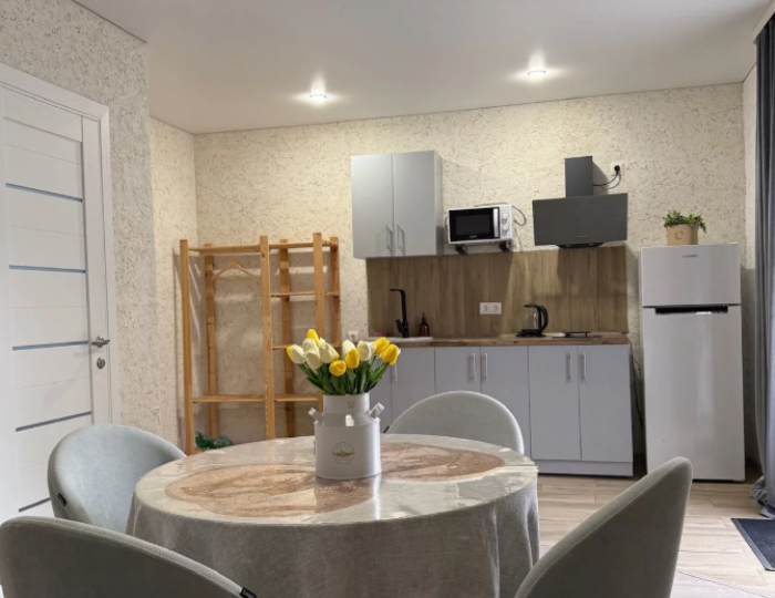 Апартаменты Апартаменты 2-местные 2-комнатные 2 эт. - Отель «Вилла Дарина» Гагра